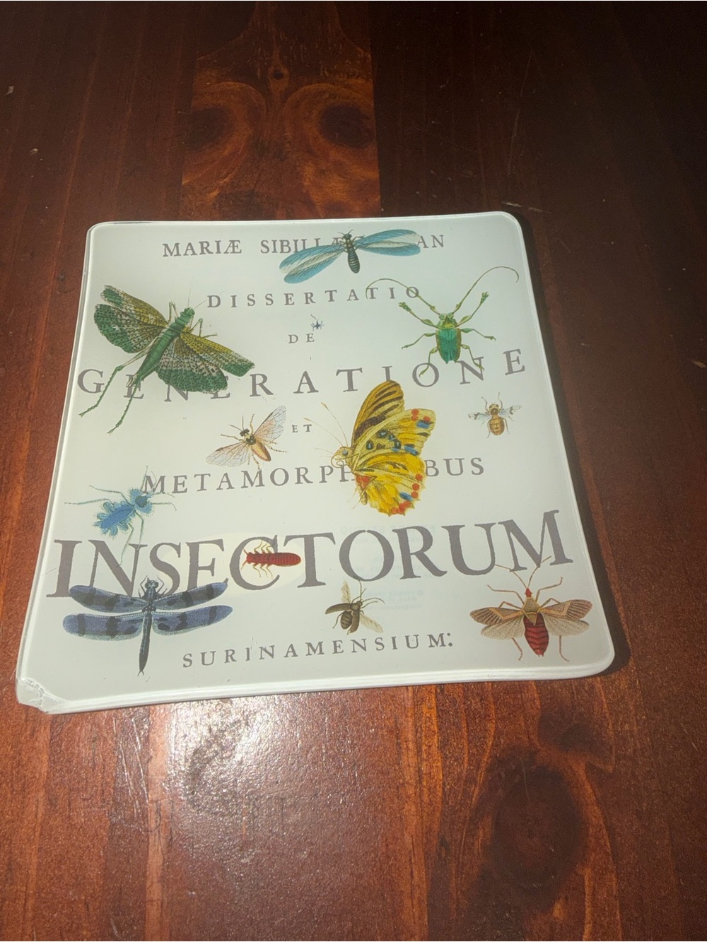Fringe Studio Maria Sibylla Merian Insect Tray Glass Decorative Natural History
